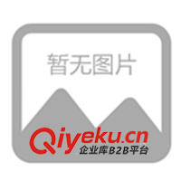 09年春夏休閑情侶裝，運(yùn)動時尚裝，征全國各地批發(fā)商